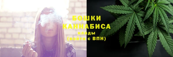 стафф Богданович